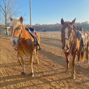 Meet your Posher, Lisamarie